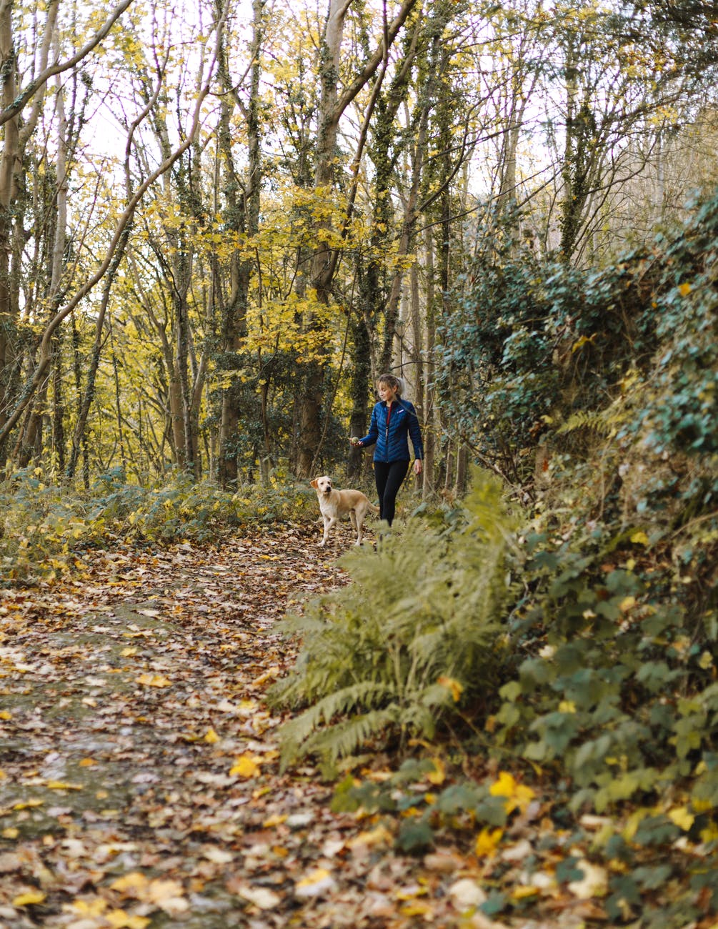 woman and dog walking at woods